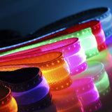 Safety Pet Leash With LED By Project Pet Lovers Club