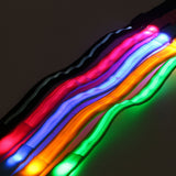 Safety Pet Leash With LED By Project Pet Lovers Club