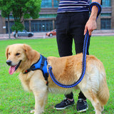 Big Dog Plaited Leash And Collar Set V2