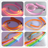 Safety 2x LED Dog Collar + Leash + Tag Ultimate Complete Set