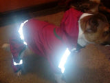 Cute Dog Hoodie Raincoat