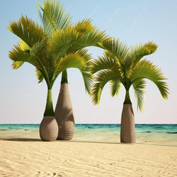 20 Seeds Per Pack - Bottle Palm Tree