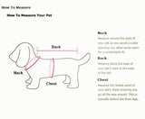 *Hot! Funny Rockstar With Guitar Costume For Dogs and Cats