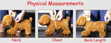 *Hot! Funny Rockstar With Guitar Costume For Dogs and Cats