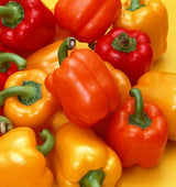 200 Seeds Per Pack - Giant Chili Hot Pepper