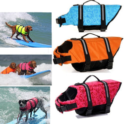 Adventure Vest For Dogs