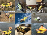 Adventure Life Vest - Standard Edition