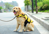Adventure Life Vest - Standard Edition