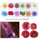 3D Dried Flower Theme | Nail Art Decals